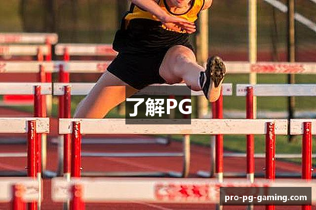了解PG